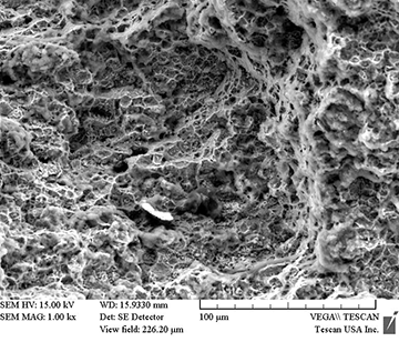 Scanning electron microscope (SEM) photographs showing the metal structure.